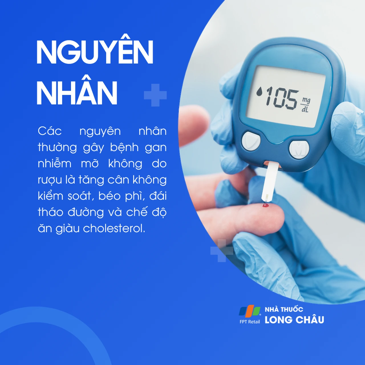 Gan nhiễm mỡ không do rượu 3
