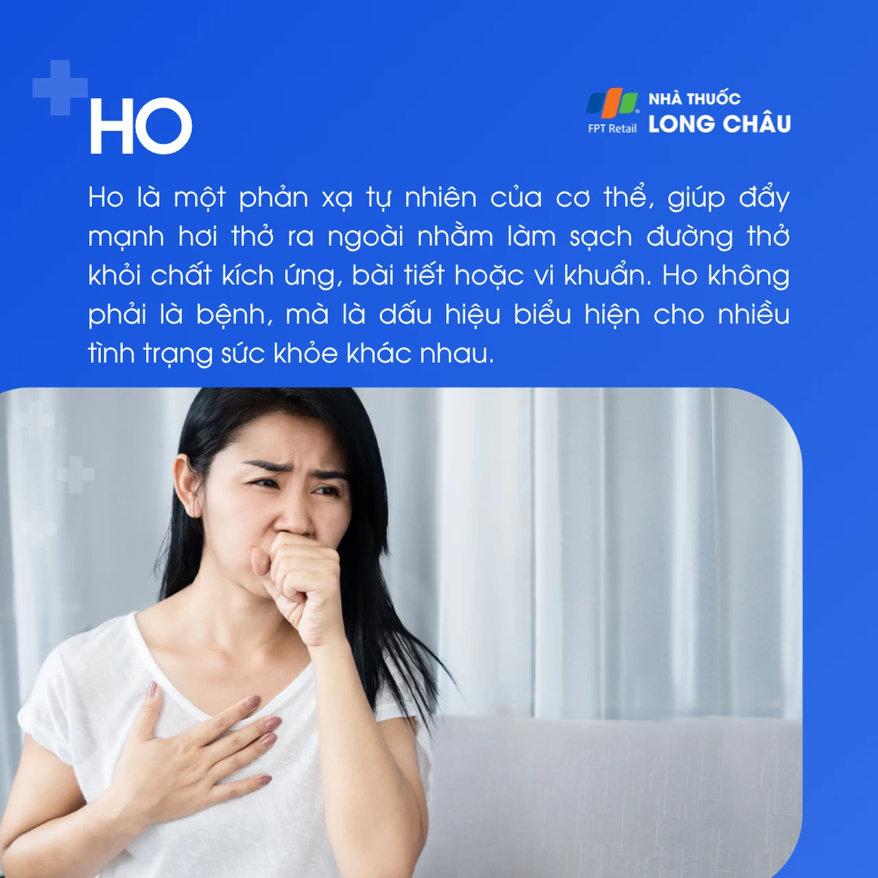 Ho 1