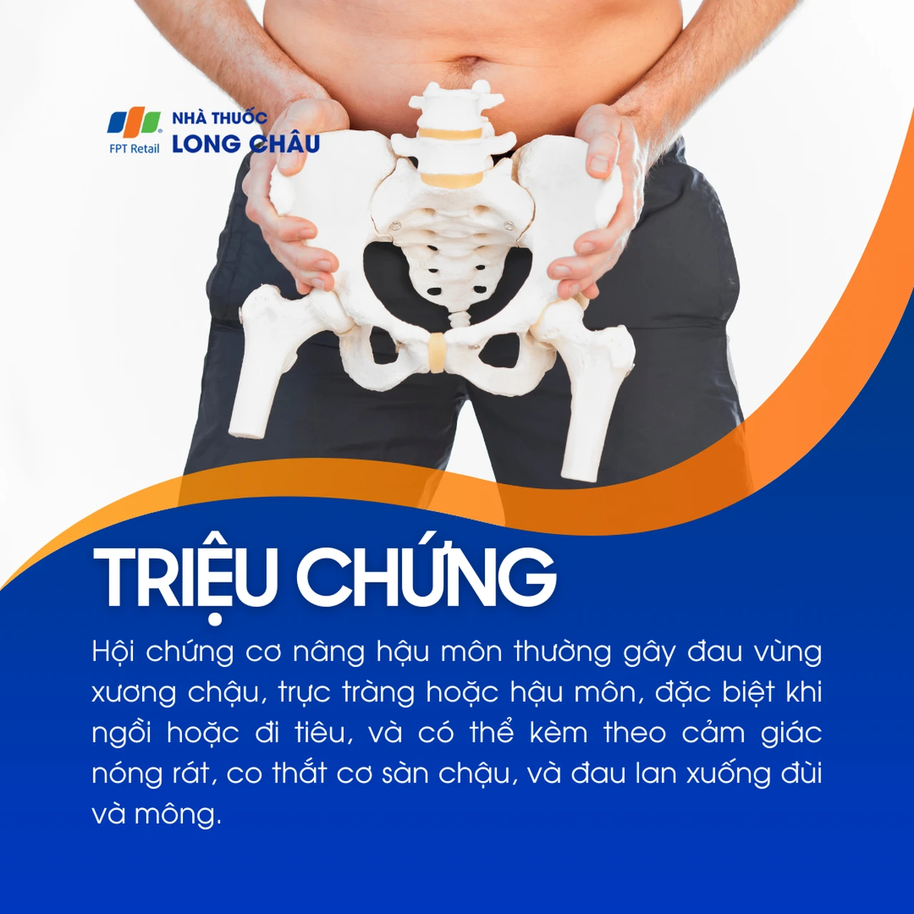 Hội chứng cơ nâng hậu môn 2