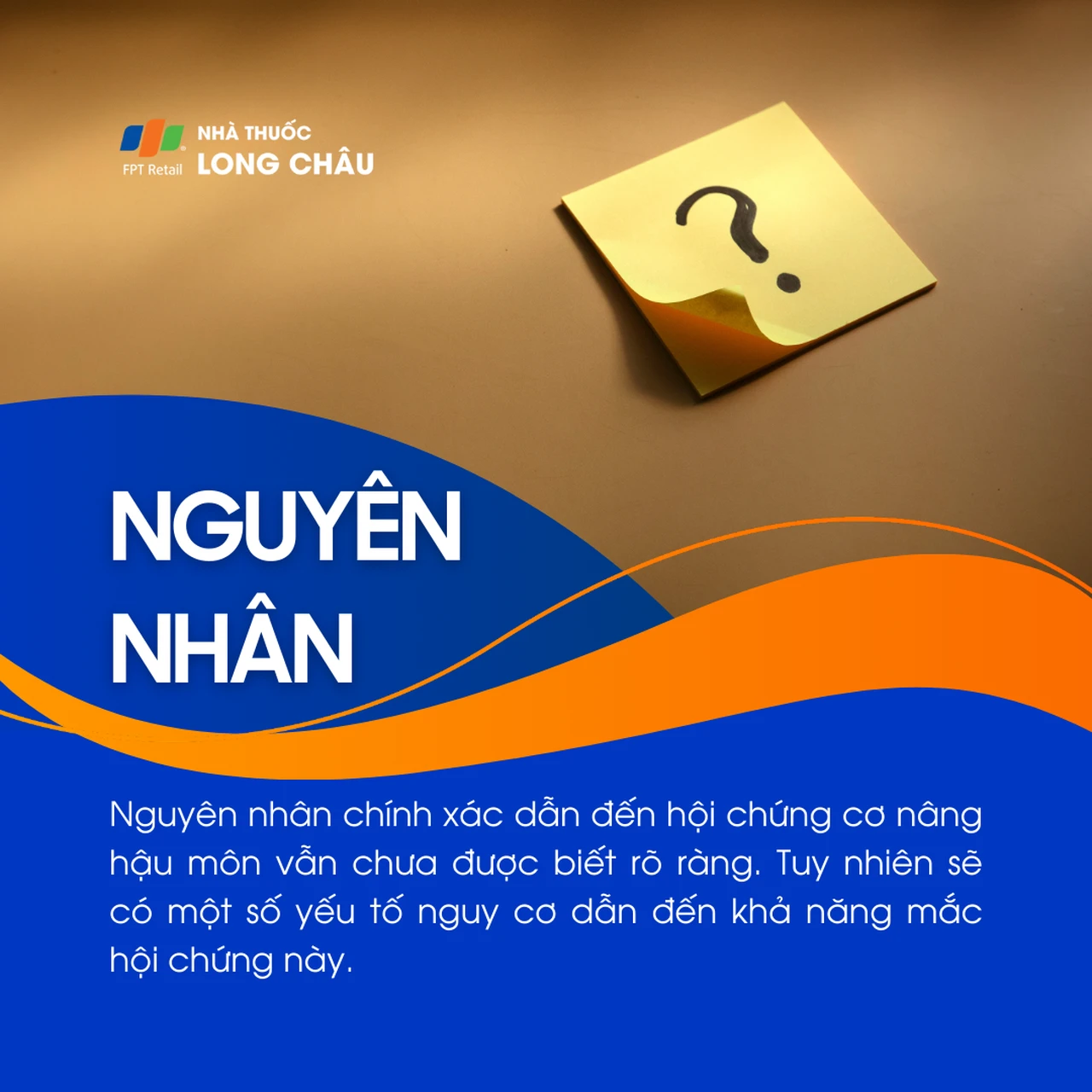 Hội chứng cơ nâng hậu môn 3