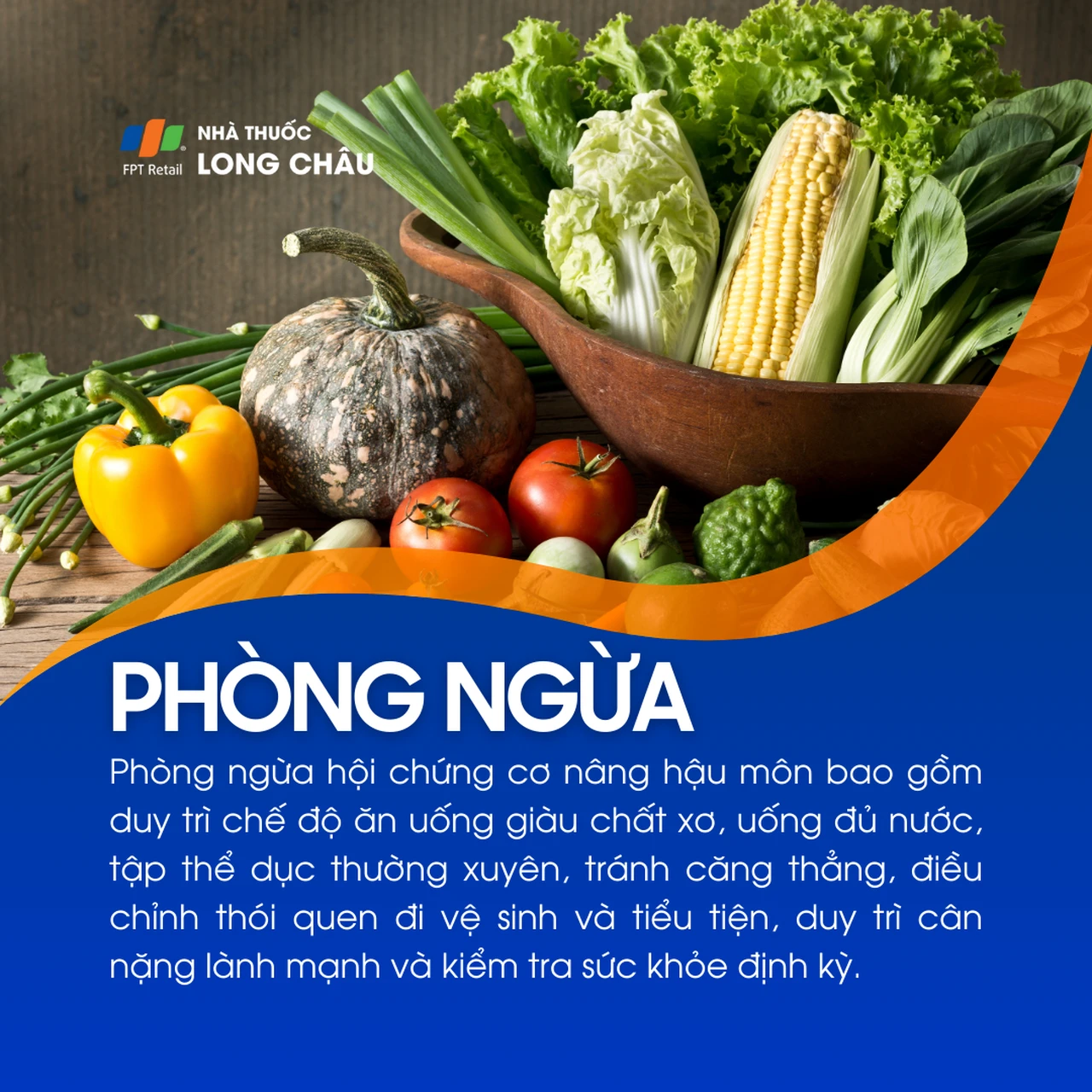 Hội chứng cơ nâng hậu môn 7