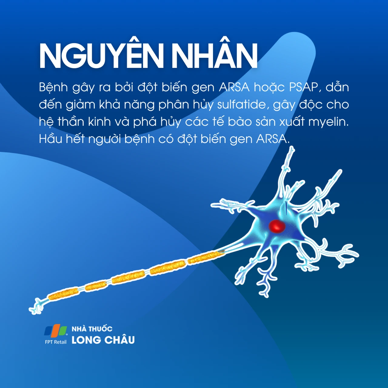 Loạn dưỡng bạch cầu dị sắc 3