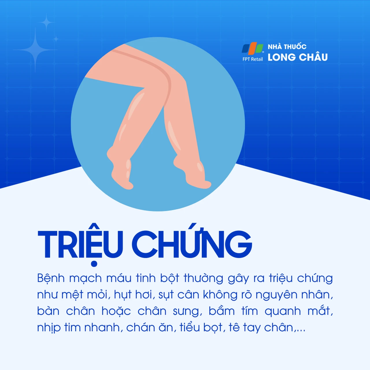 Mạch máu tinh bột 2