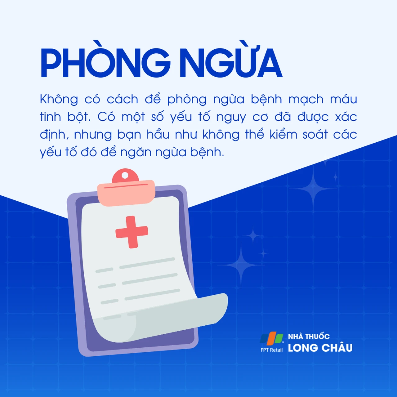 Mạch máu tinh bột 7