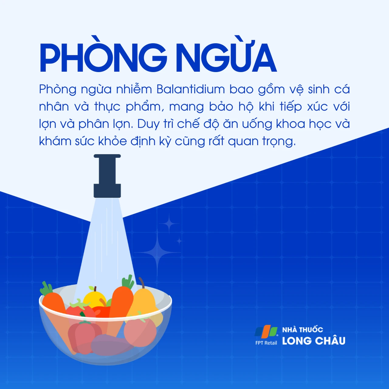 Nhiễm Balantidium 7