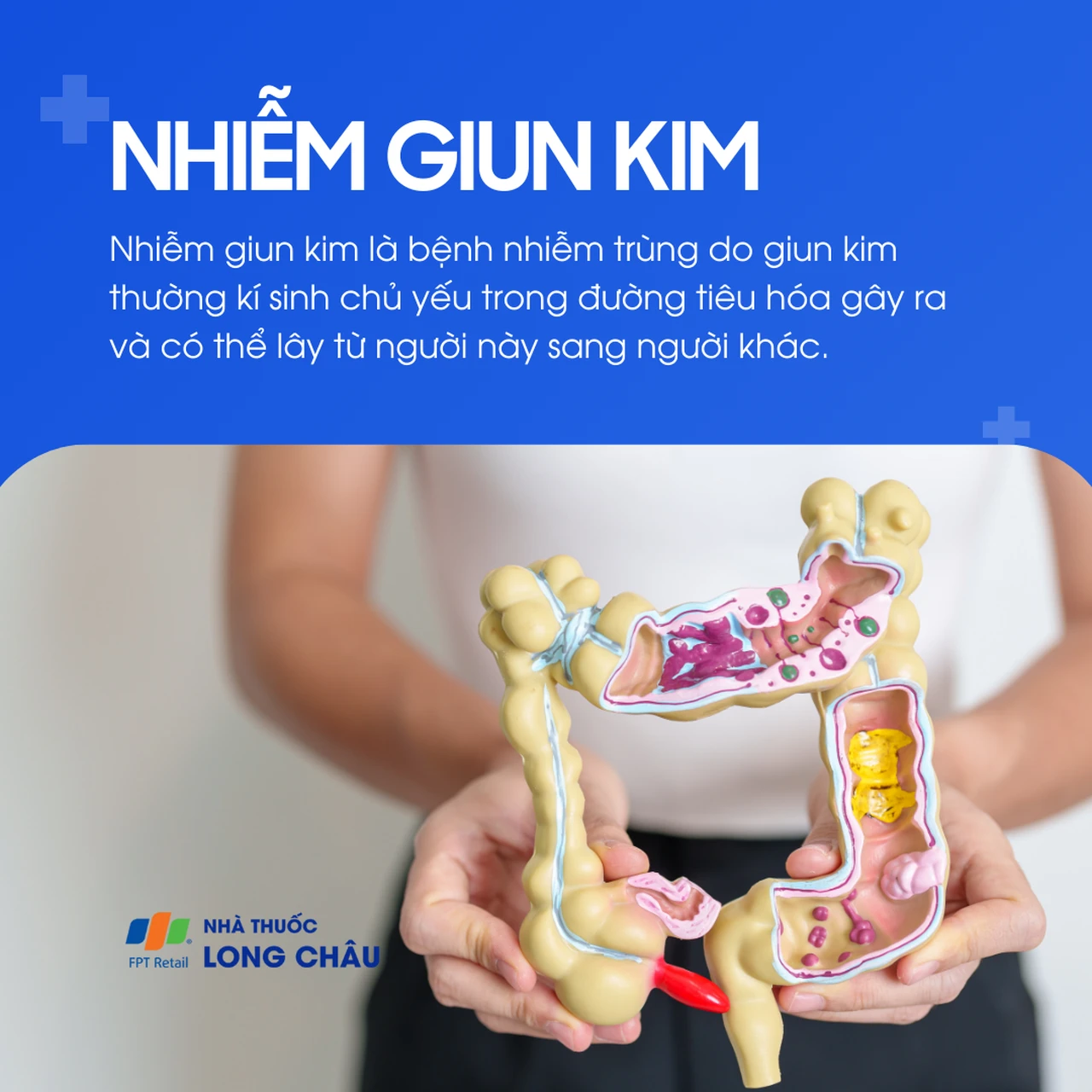 Nhiễm giun kim 1