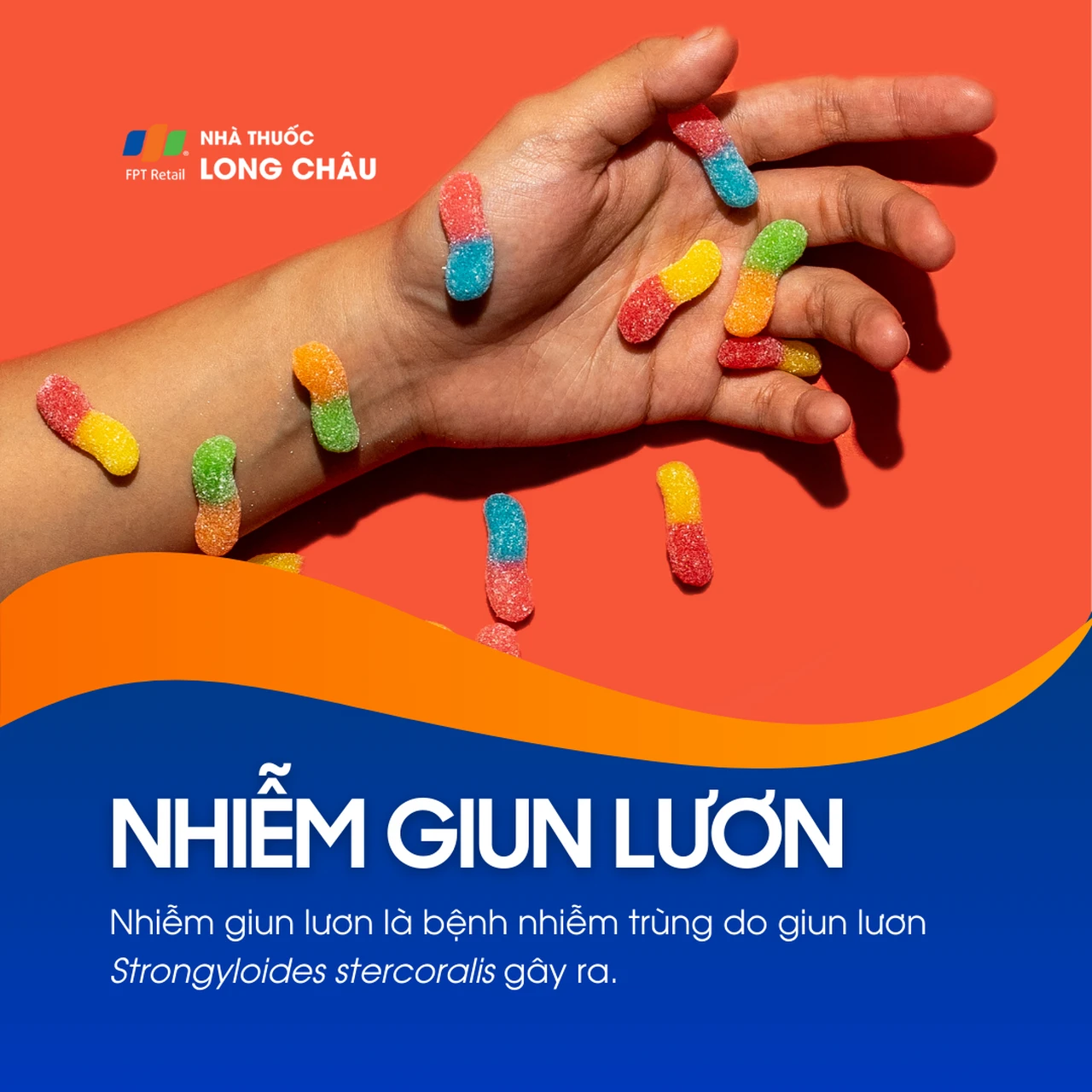Nhiễm giun lươn 1