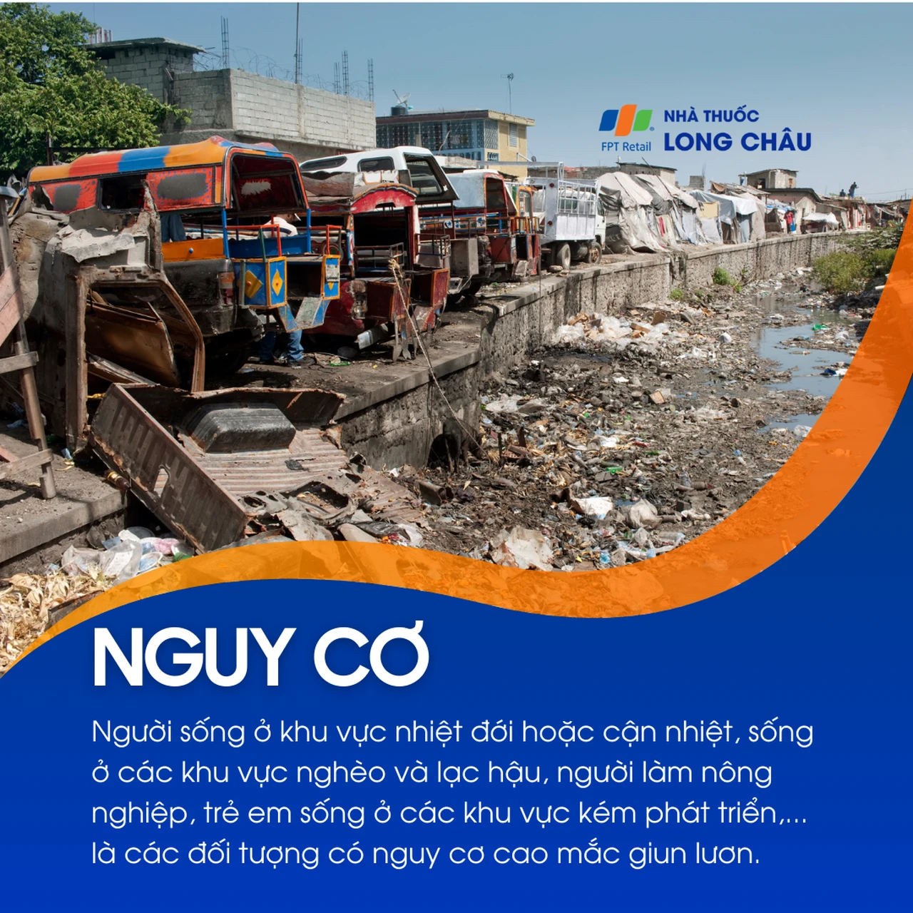 Nhiễm giun lươn 5