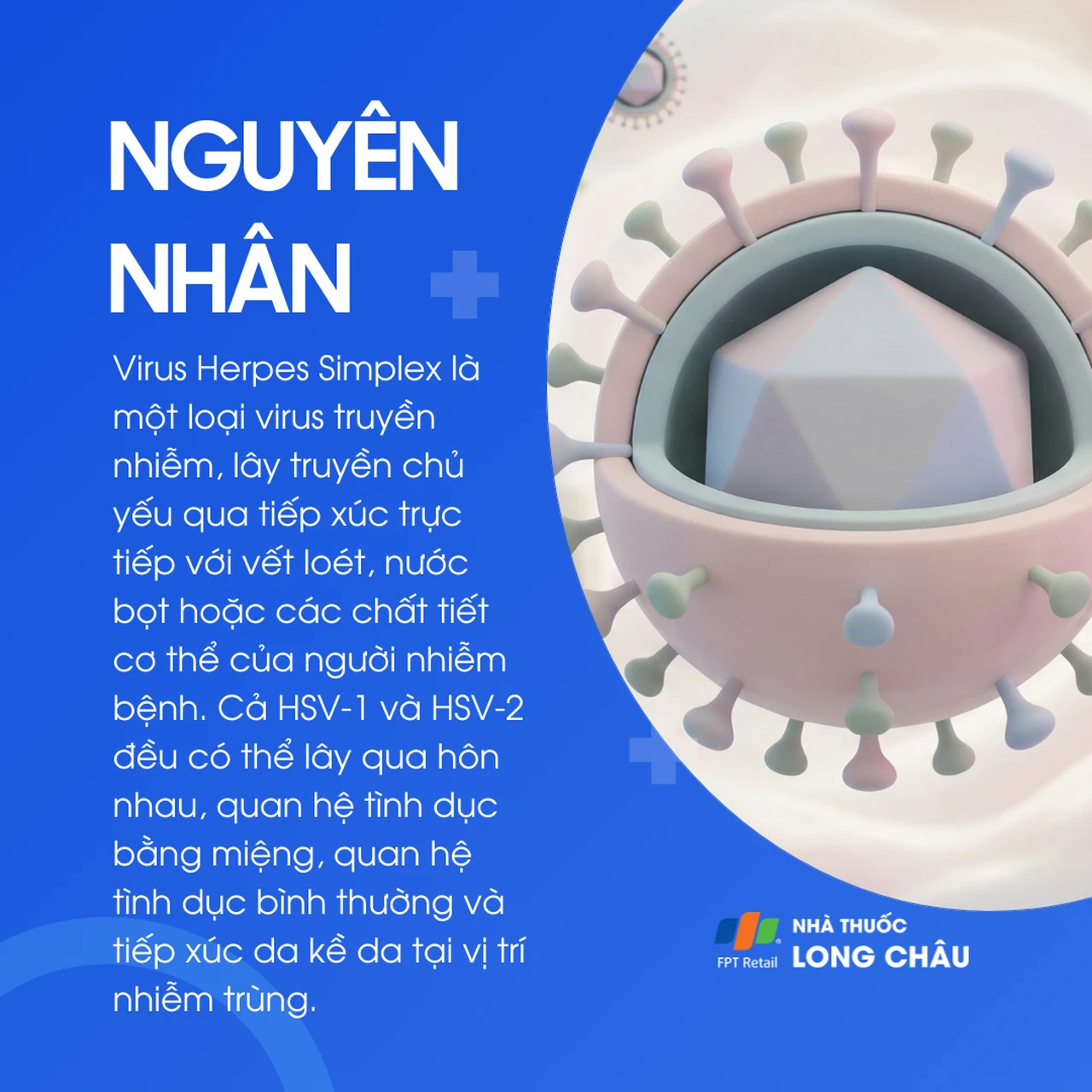 Nhiễm Herpes simplex 3