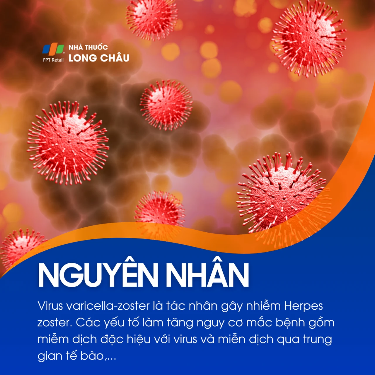 Nhiễm Herpes Zoster 5