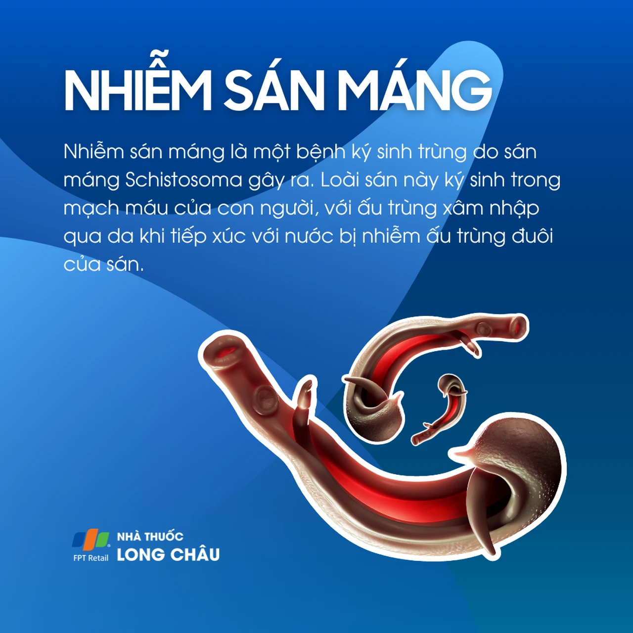 Nhiễm sán máng 1