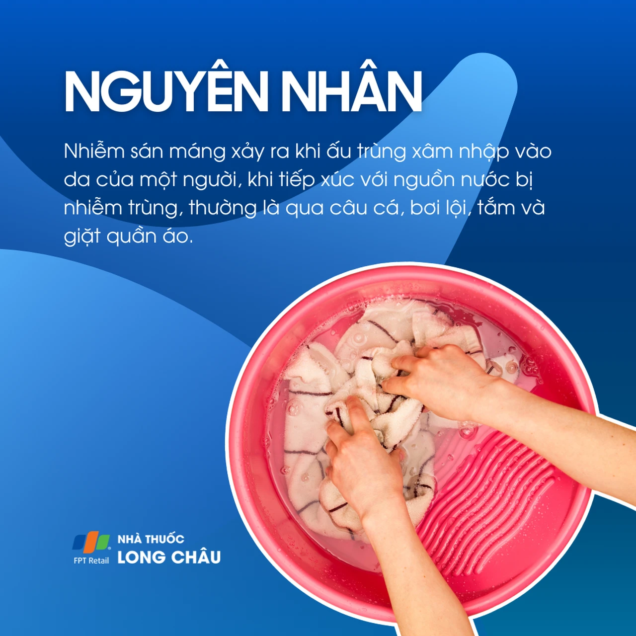 Nhiễm sán máng 3