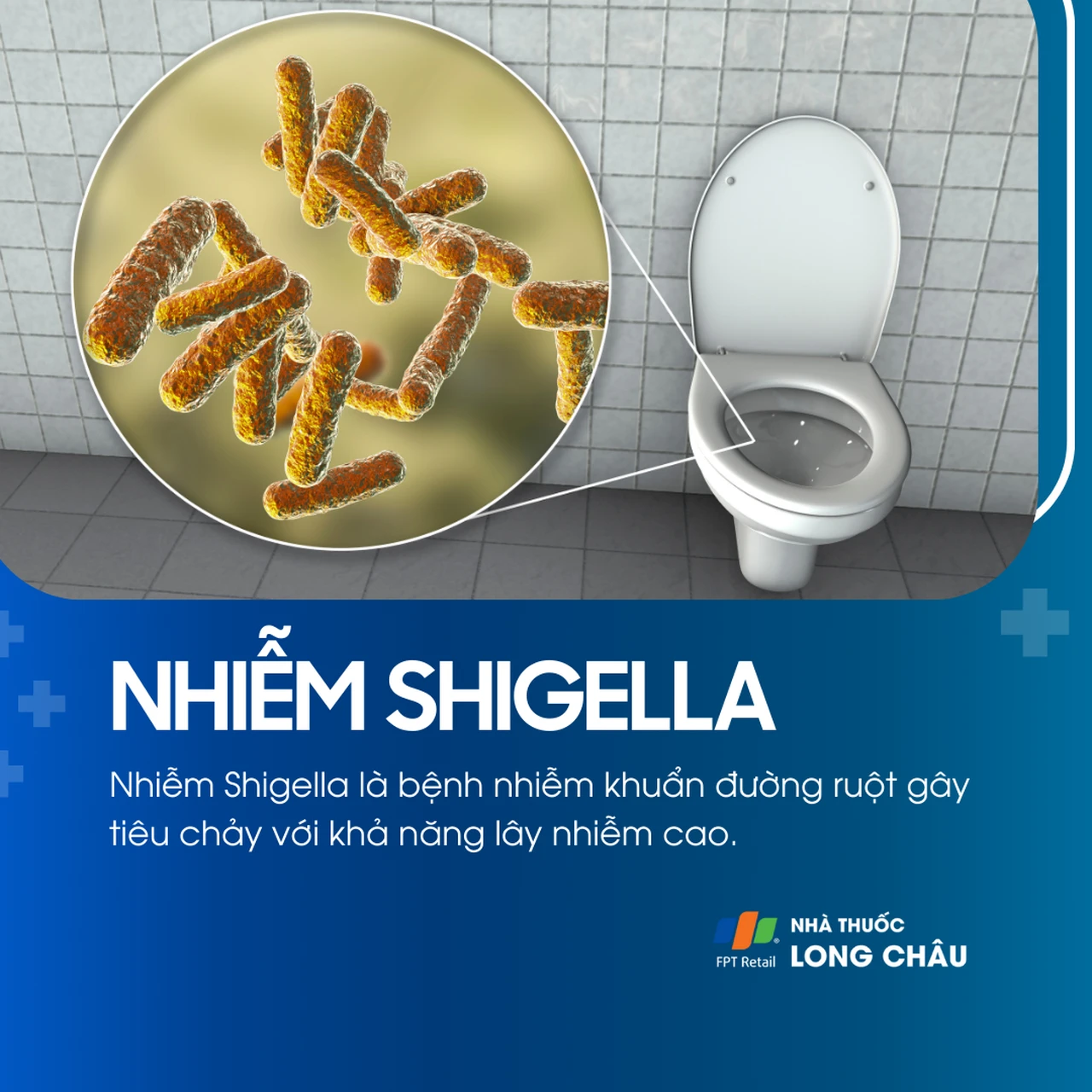 Nhiễm Shigella 1