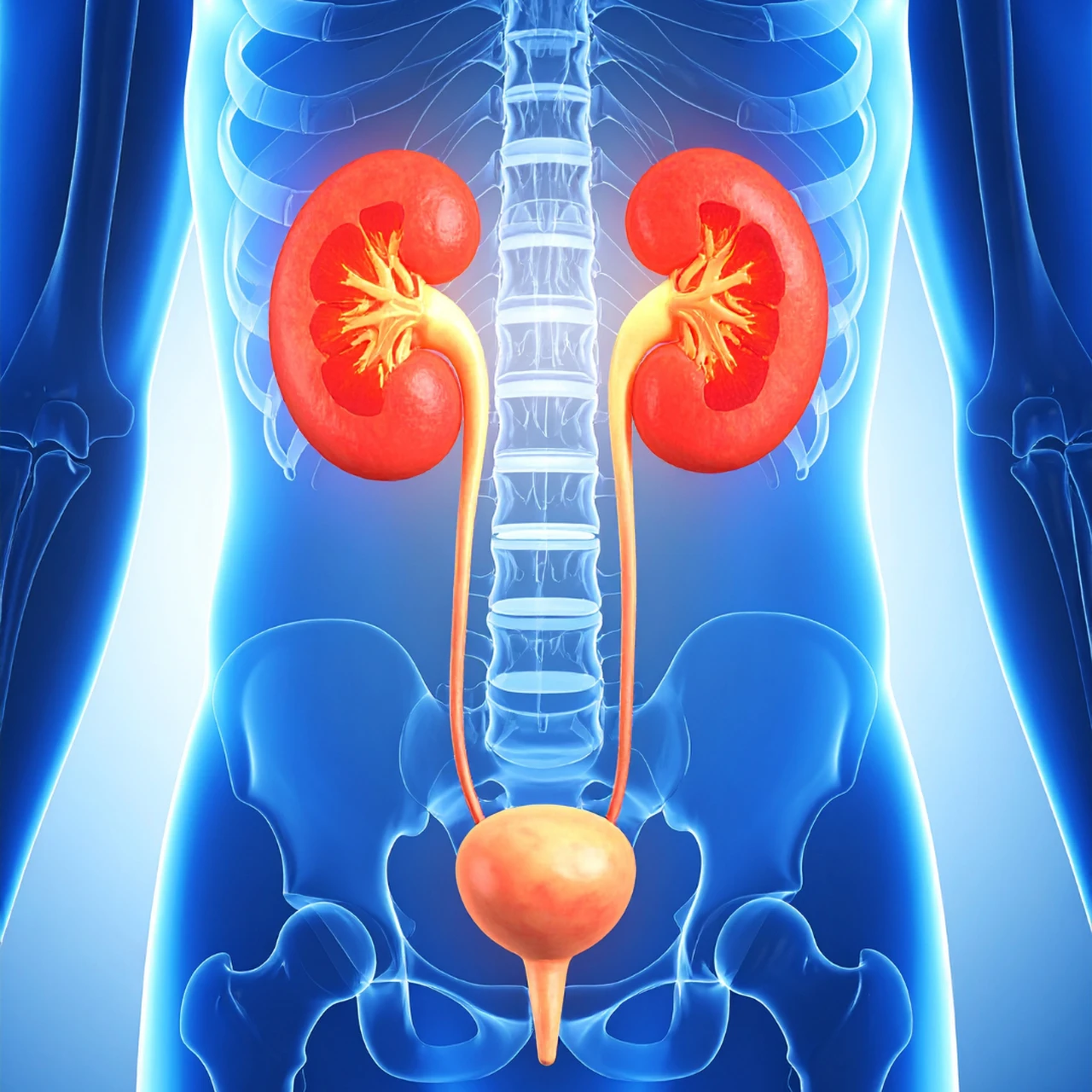 Nhiễm trùng đường tiết niệu ở nữ 3