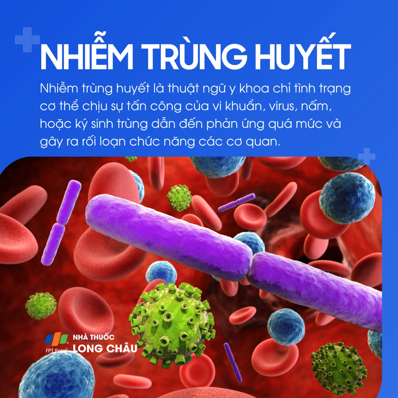 Nhiễm trùng huyết 1