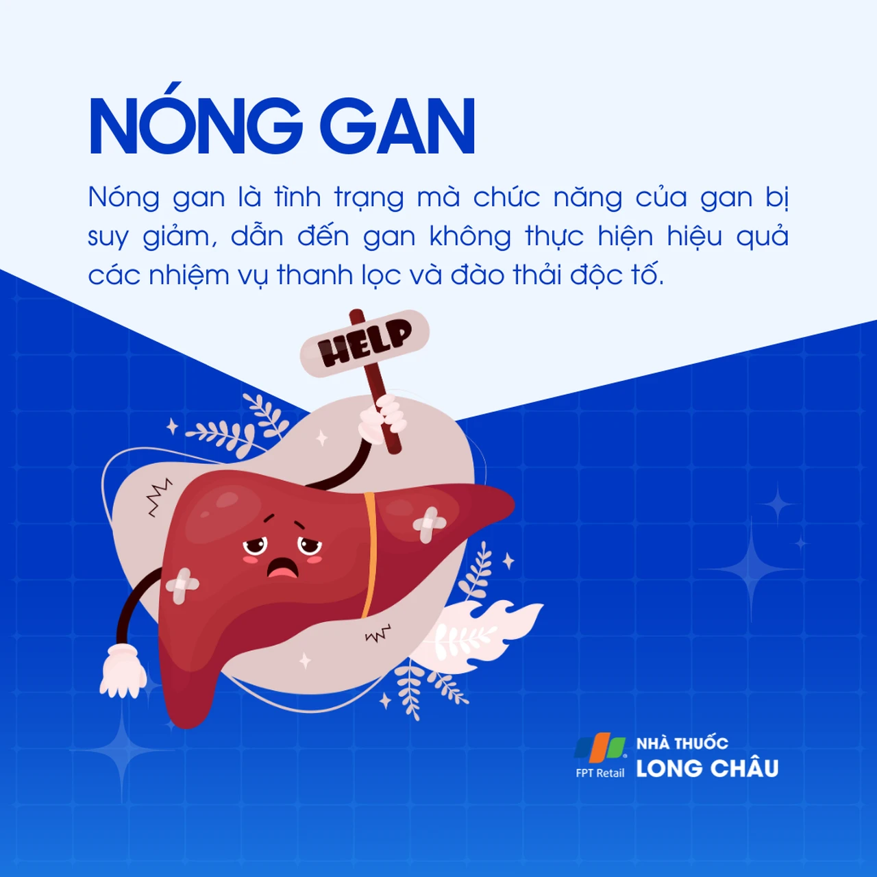 Nóng gan 1
