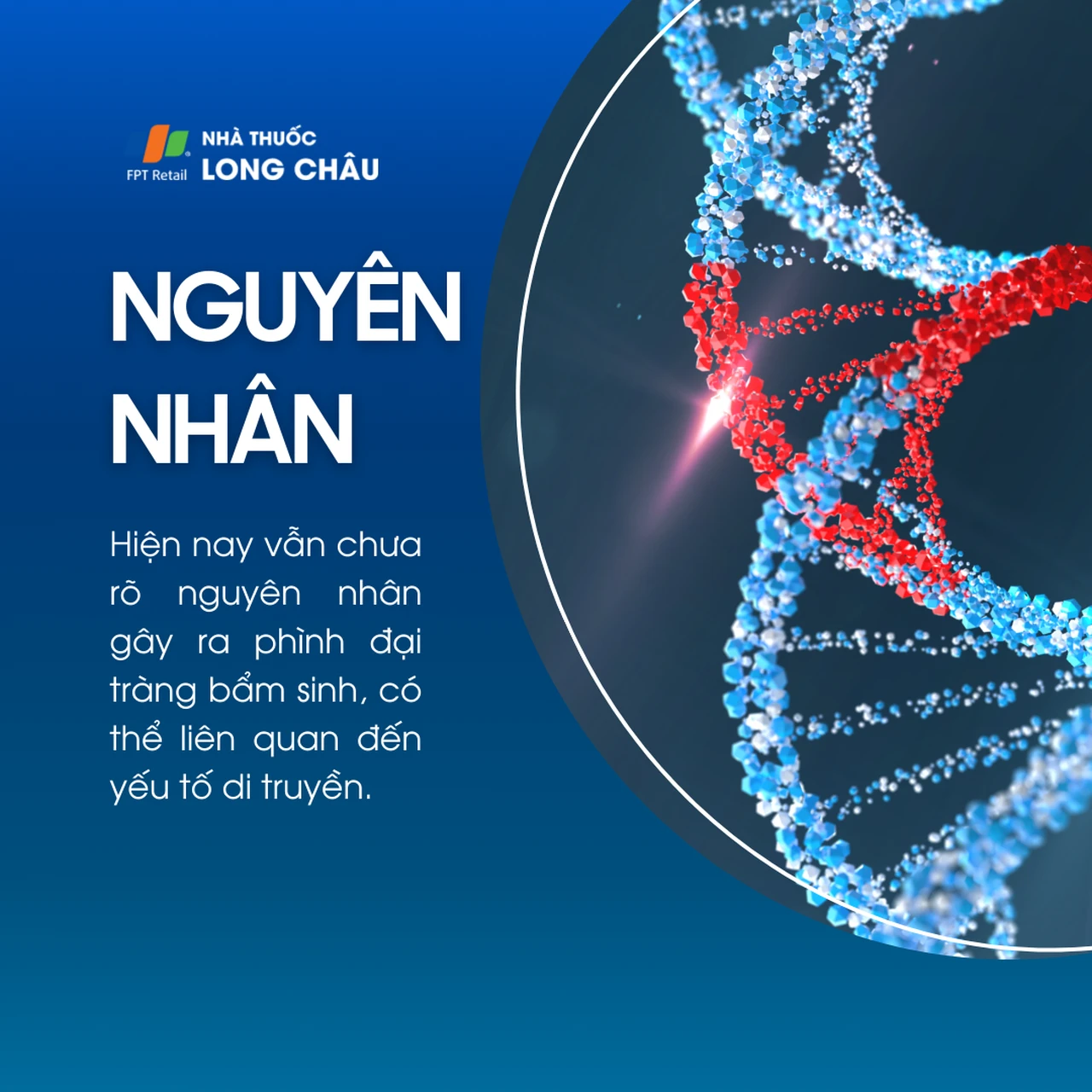 Phình đại tràng bẩm sinh 3