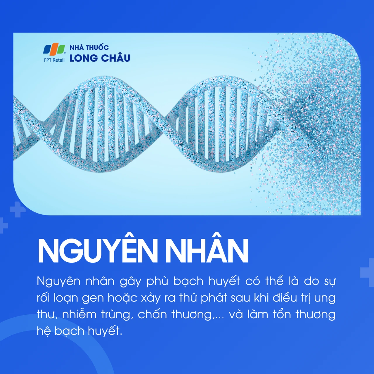 Phù bạch huyết 3