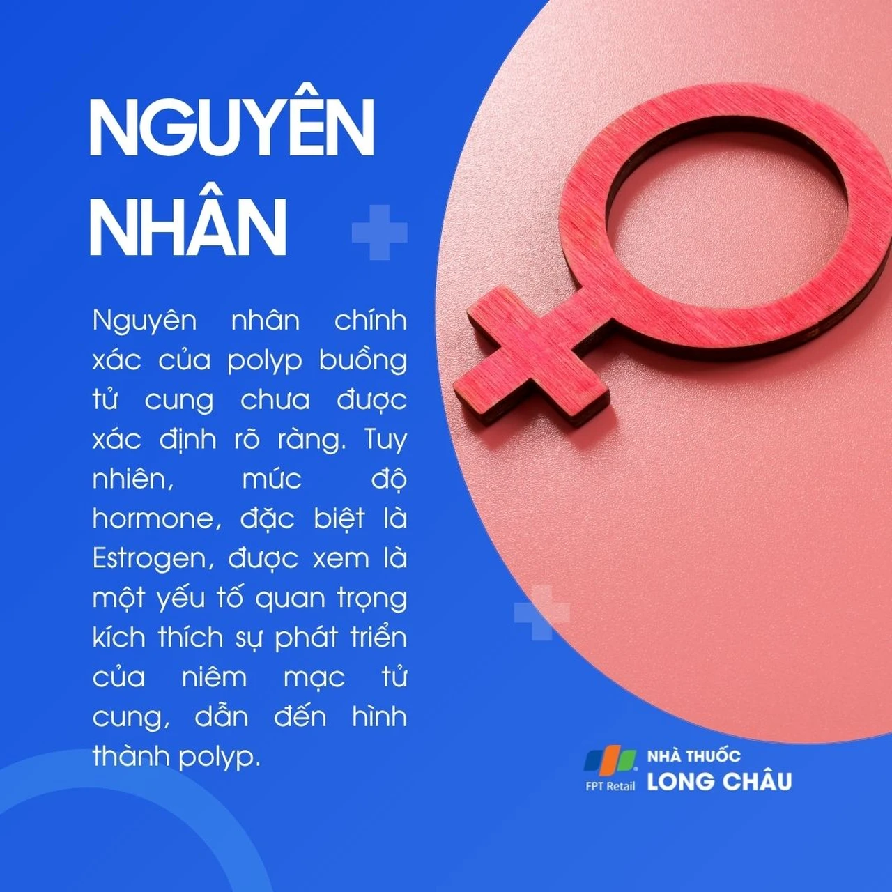 Polyp buồng tử cung 3