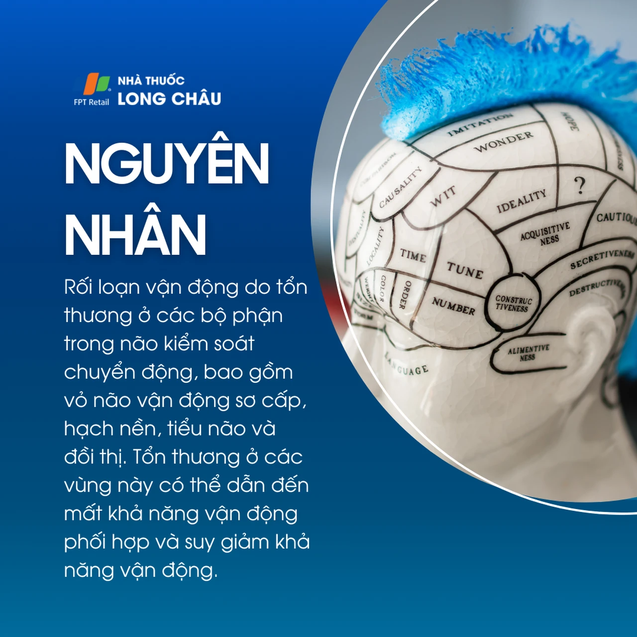 Rối loạn vận động 3