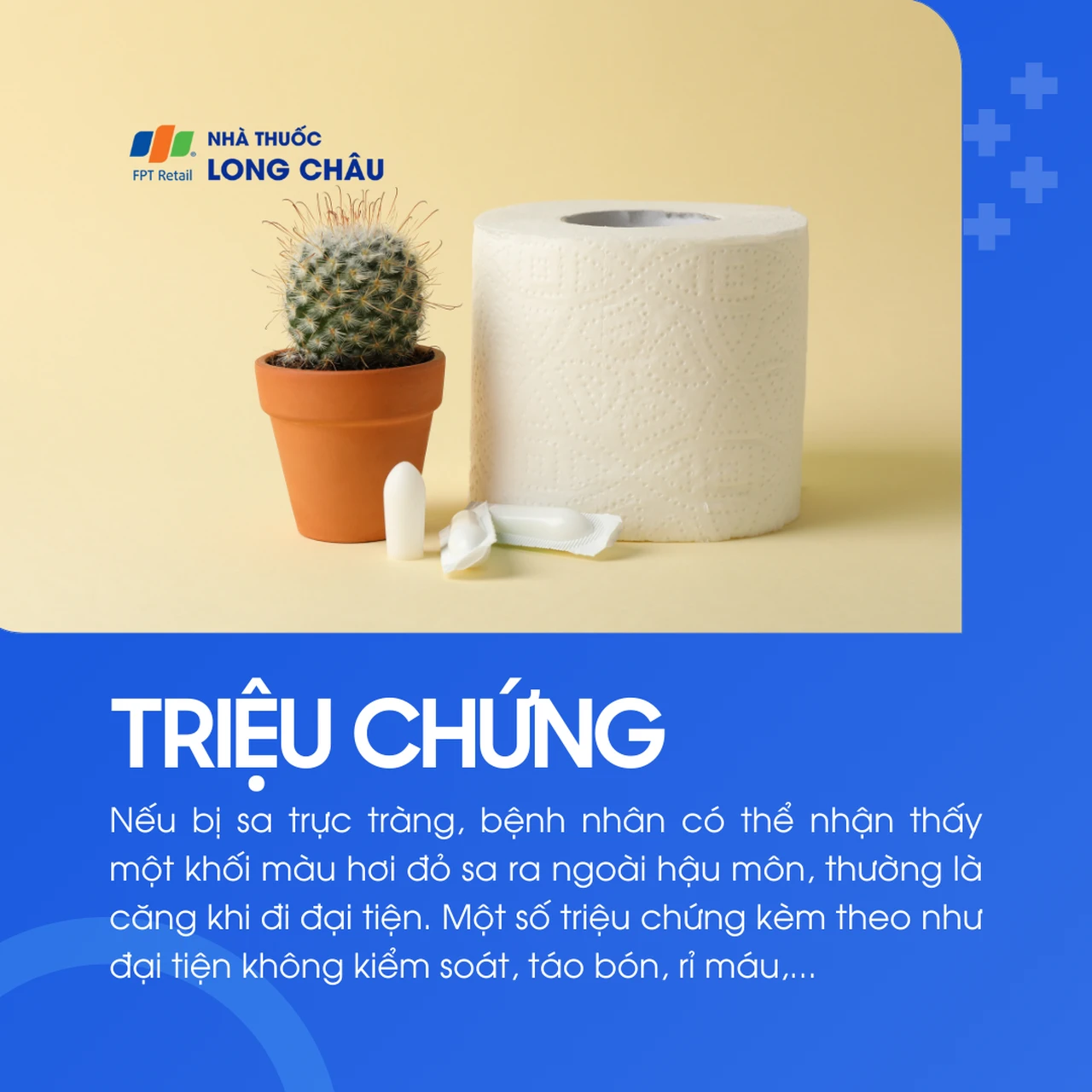Sa trực tràng 2