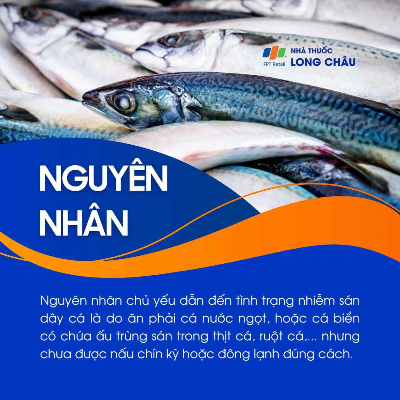 Nhiễm sán dây cá  3