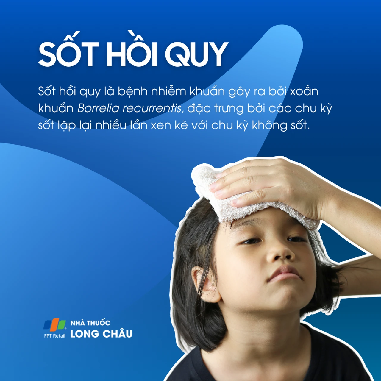 Sốt hồi quy 1