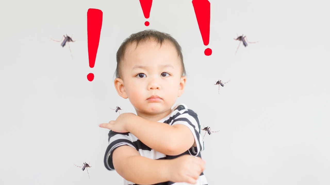 Sốt xuất huyết ở trẻ em 3