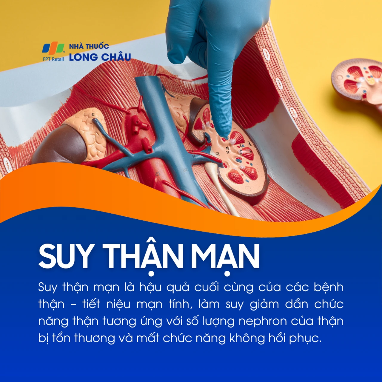 Suy thận mạn 1