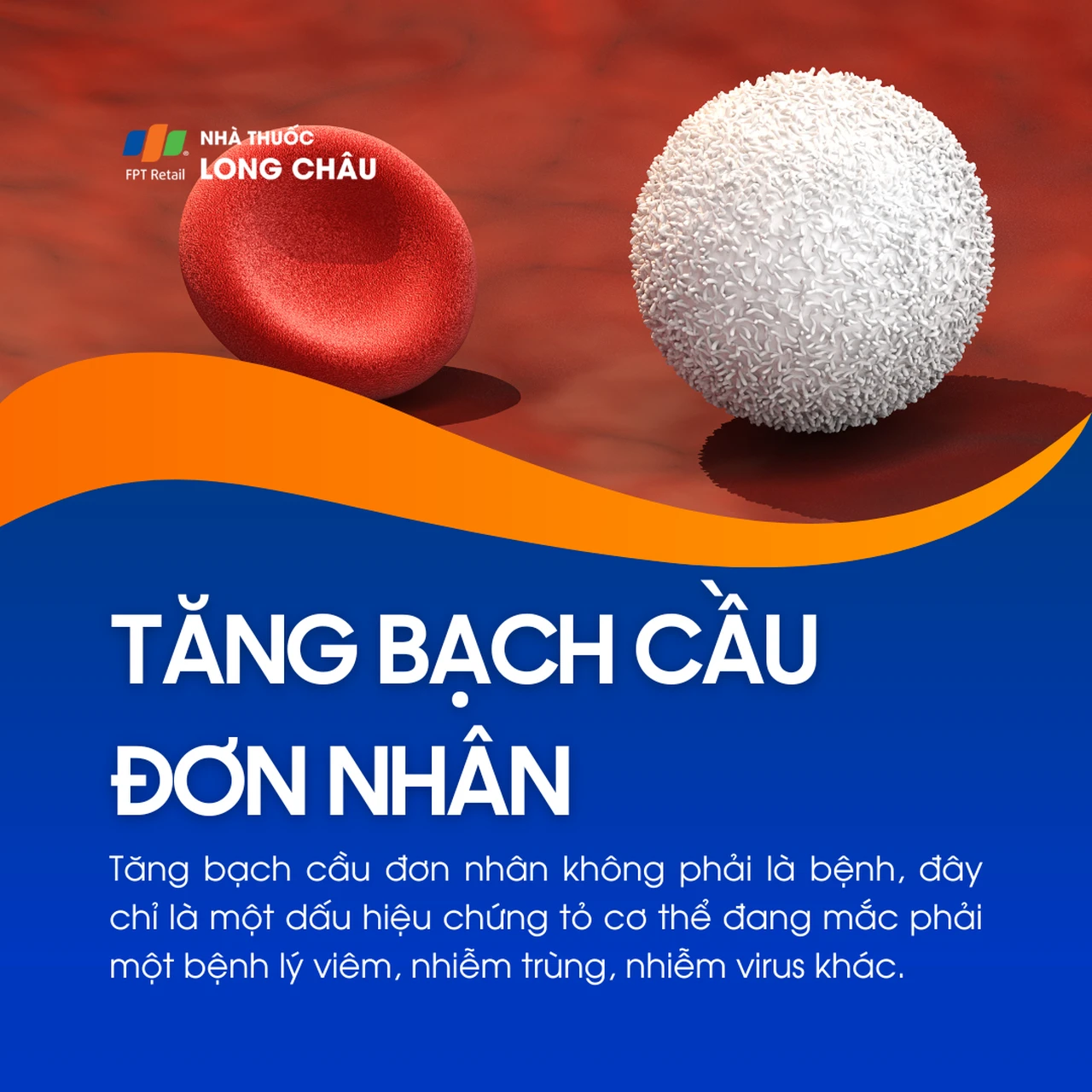 Tăng bạch cầu đơn nhân 1