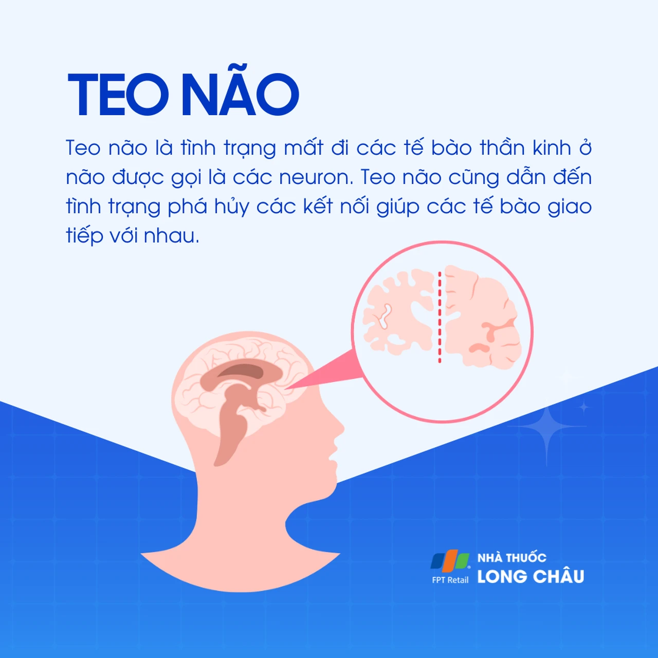 Teo não 1