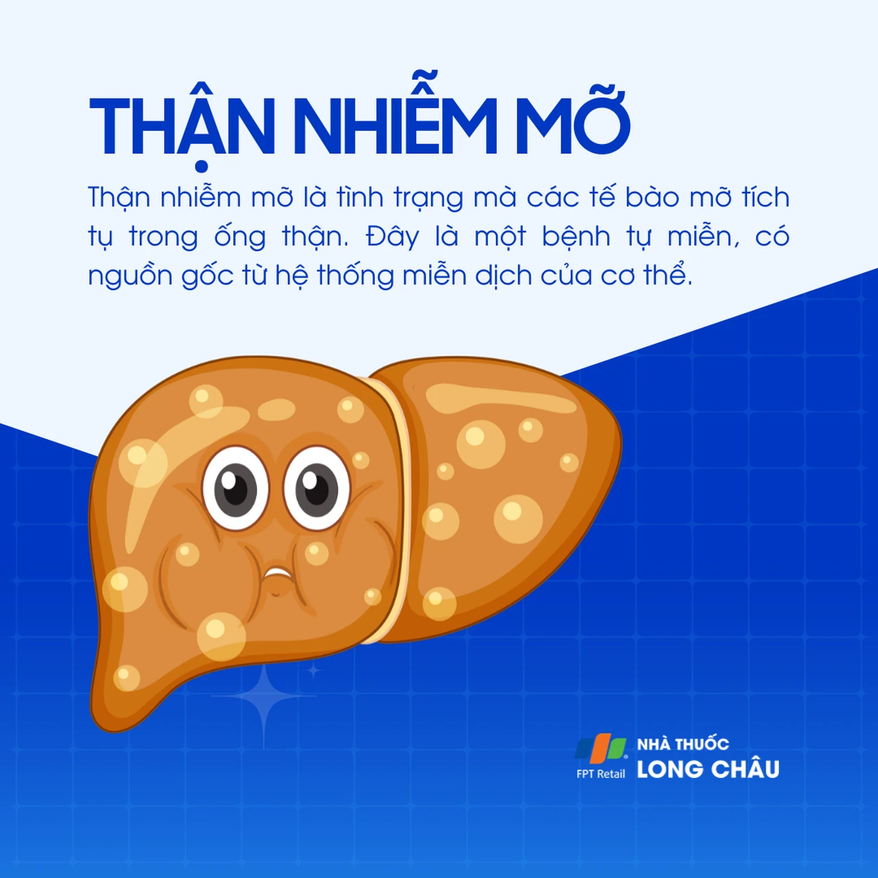 Thận nhiễm mỡ 1