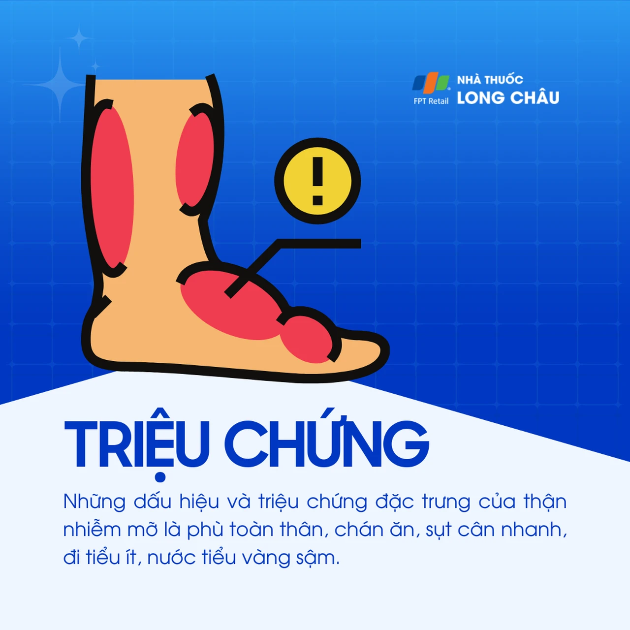 Thận nhiễm mỡ 2