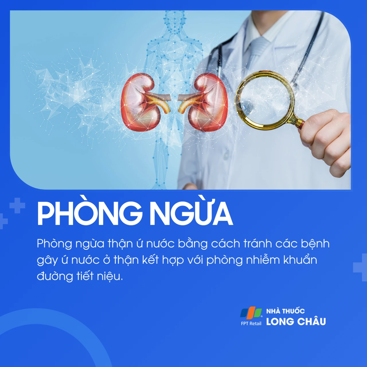 Thận ứ nước 7