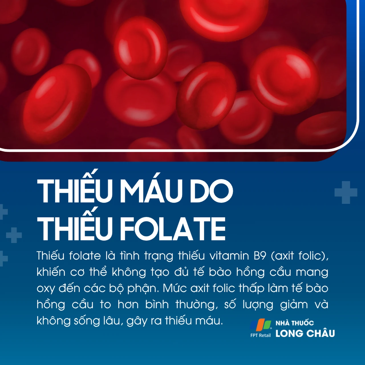 Thiếu máu do thiếu folate 1