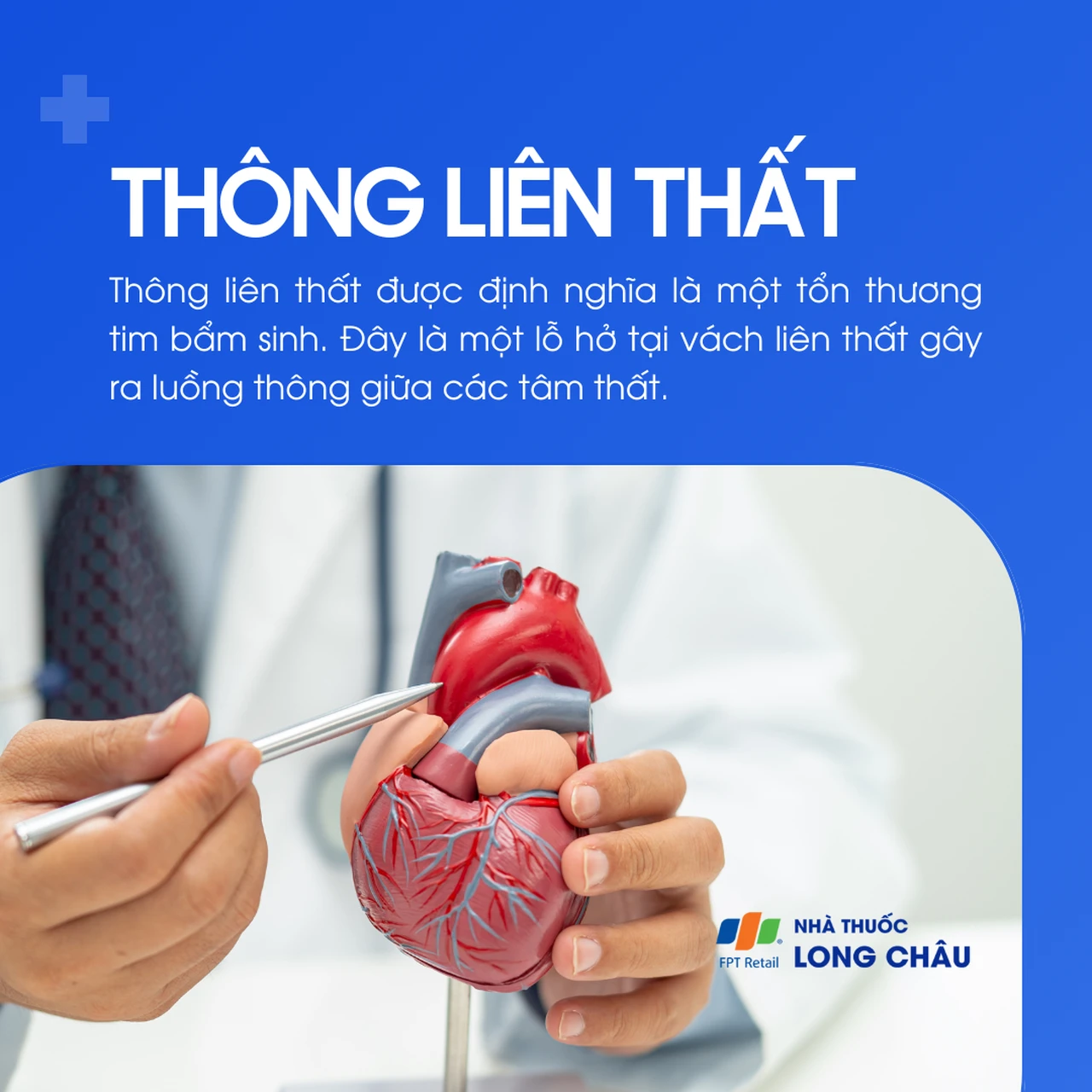 Thông liên thất 1