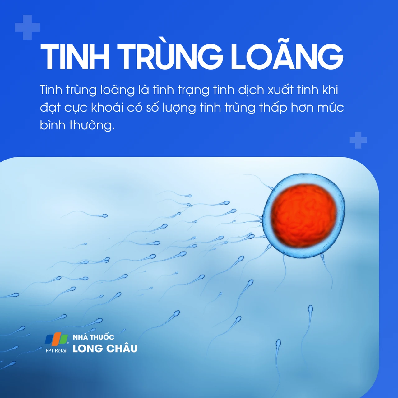 Tinh trùng loãng 1