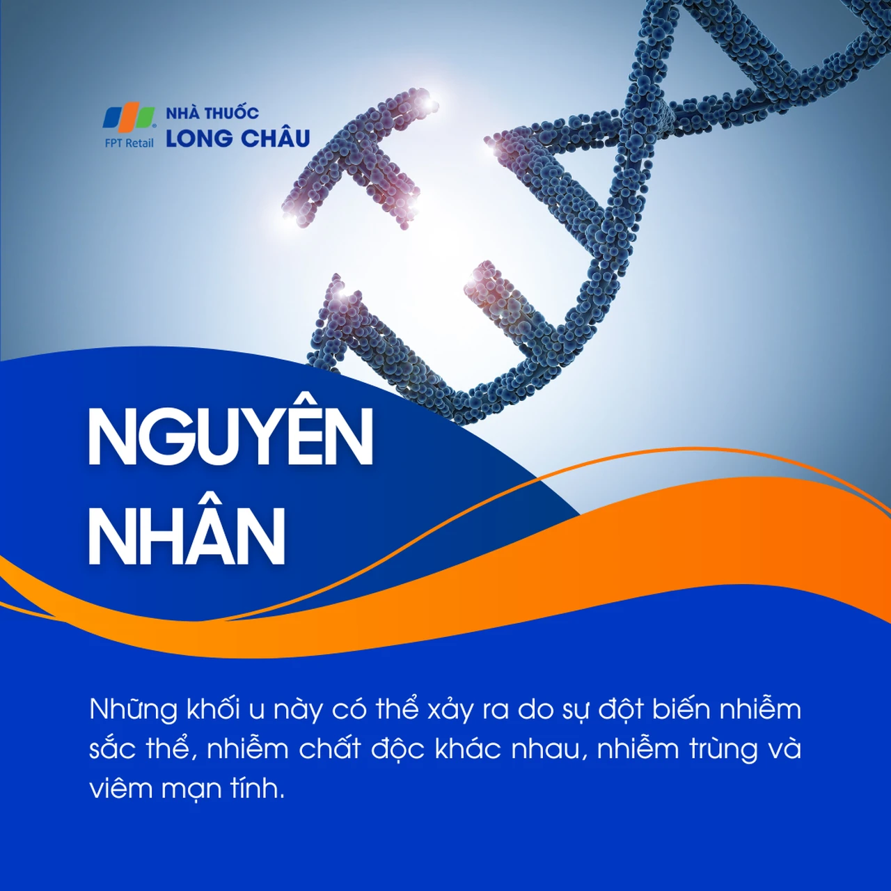 U lympho không Hodgkin 3