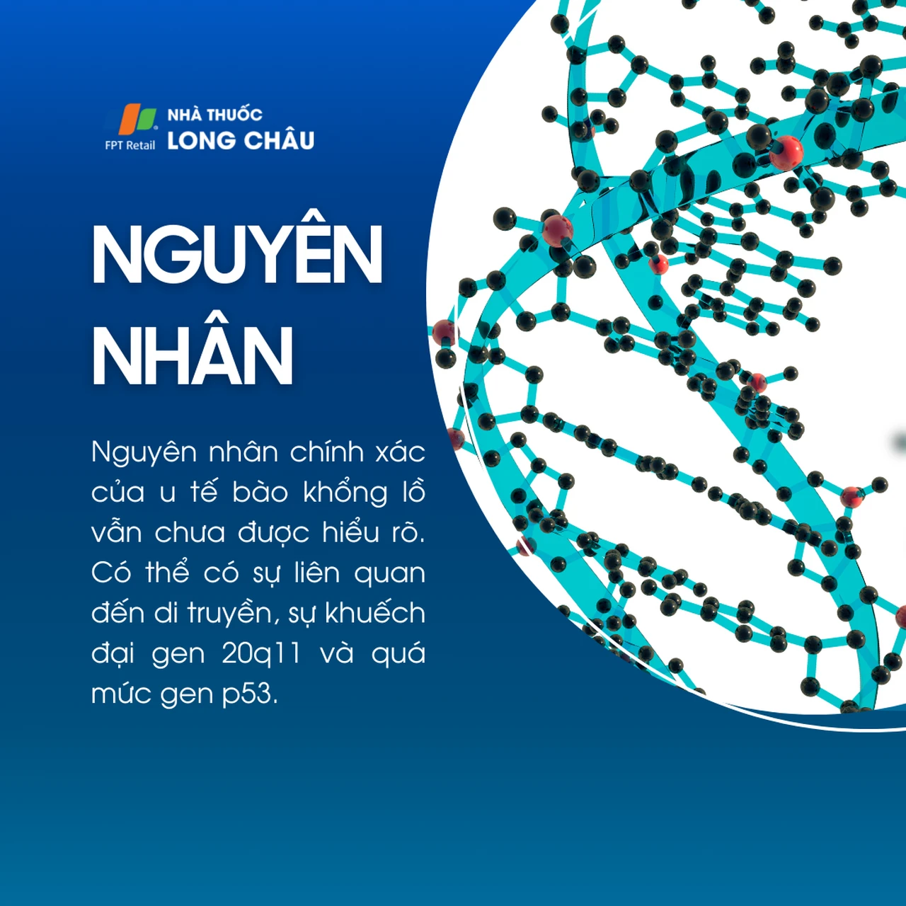 U tế bào khổng lồ 3