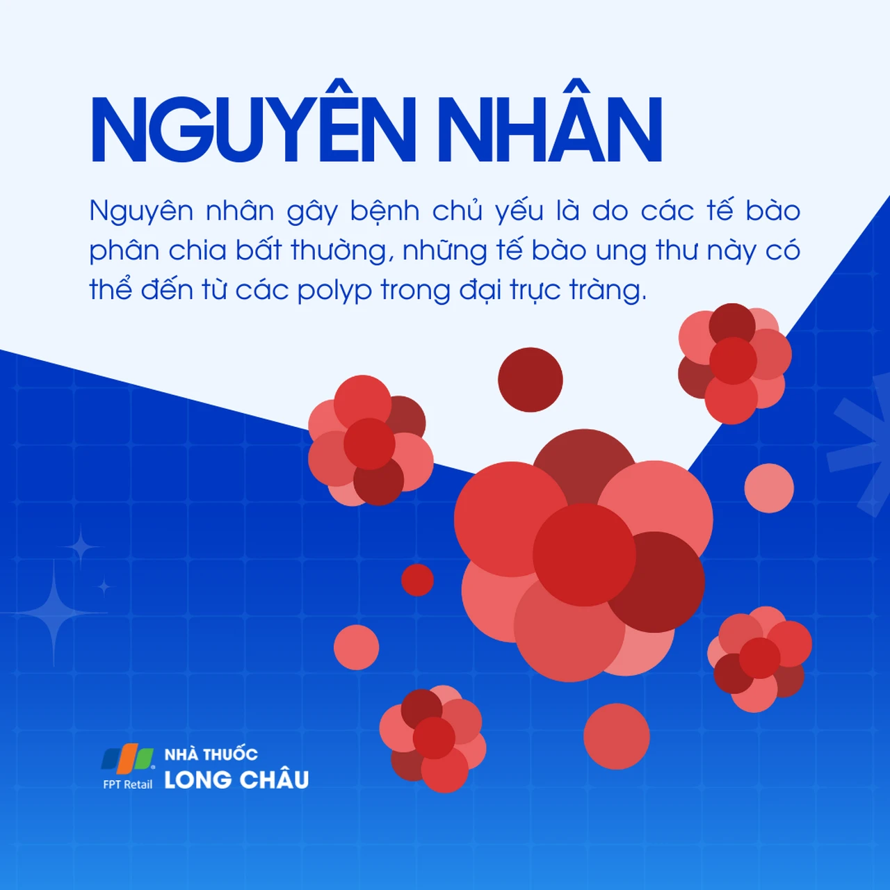 Ung thư đại tràng 3