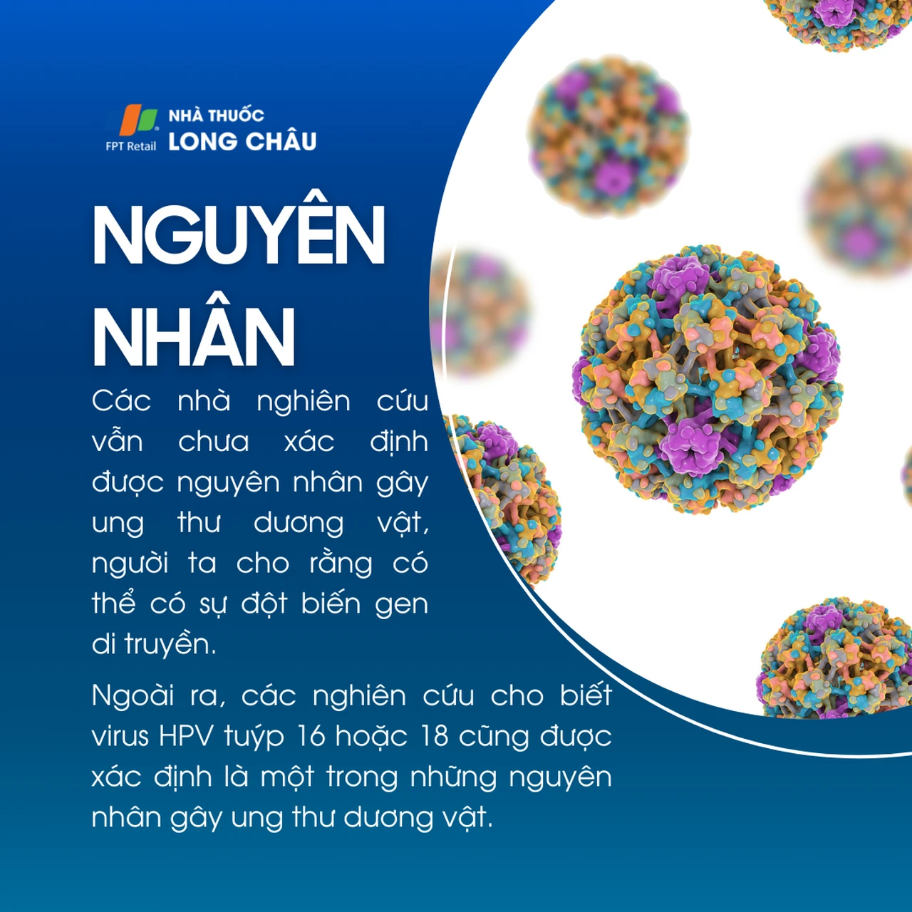 Ung thư dương vật 3