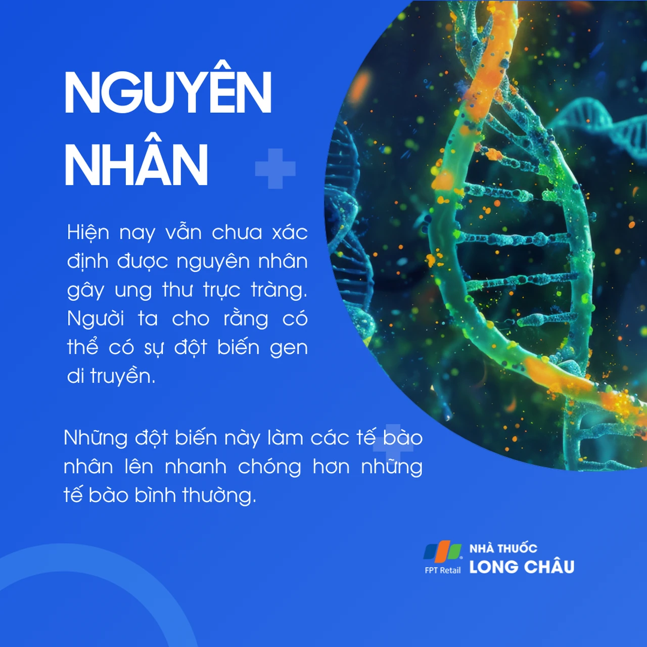 Ung thư trực tràng 3