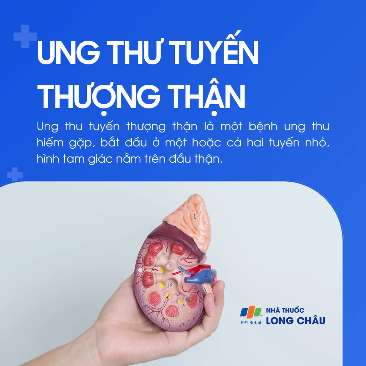Ung thư tuyến thượng thận 1