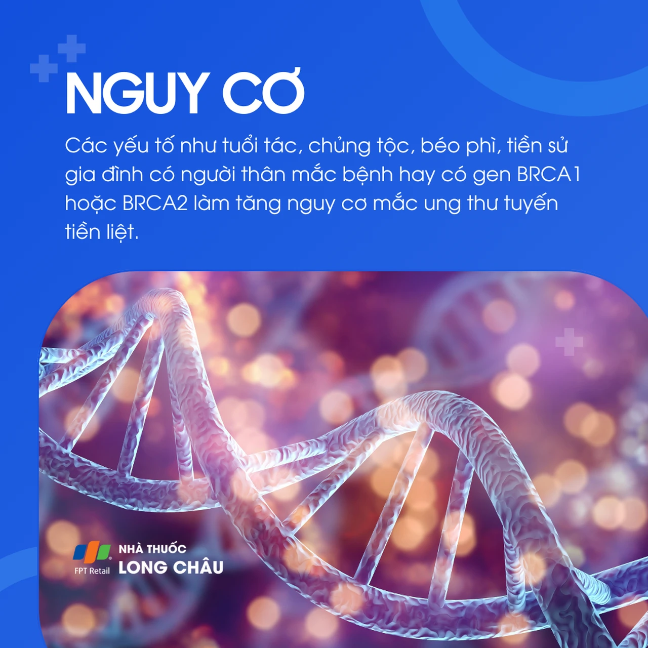 Ung thư tuyến tiền liệt 4