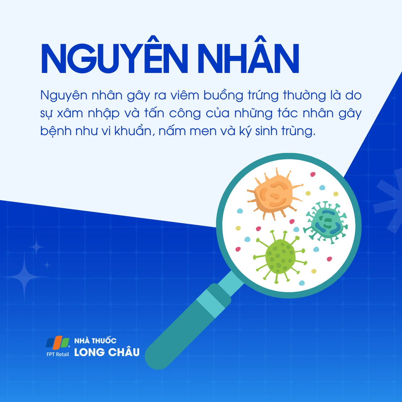 Viêm buồng trứng 3