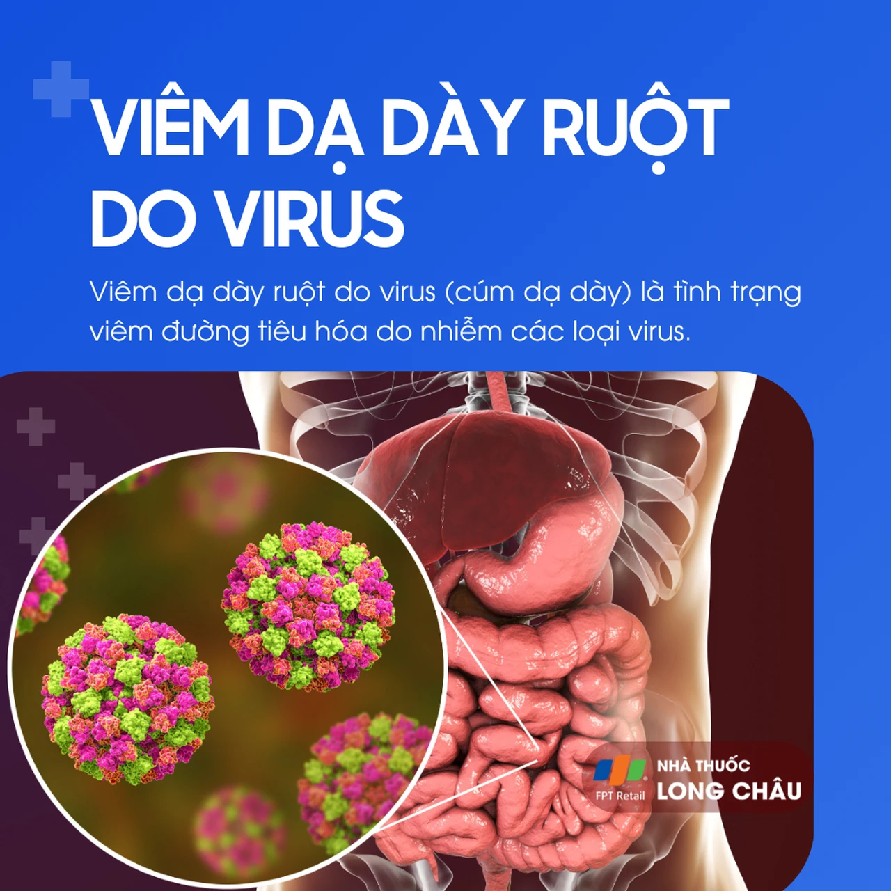 Viêm dạ dày ruột do virus 1