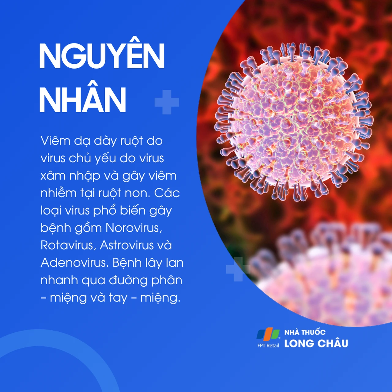Viêm dạ dày ruột do virus 3