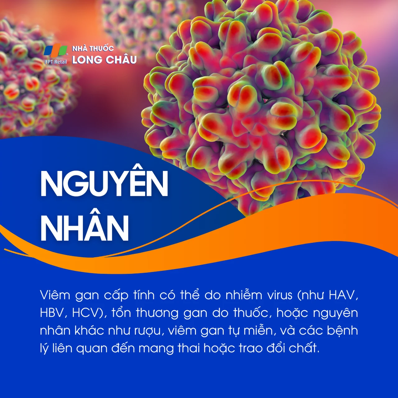 Viêm gan cấp tính 3