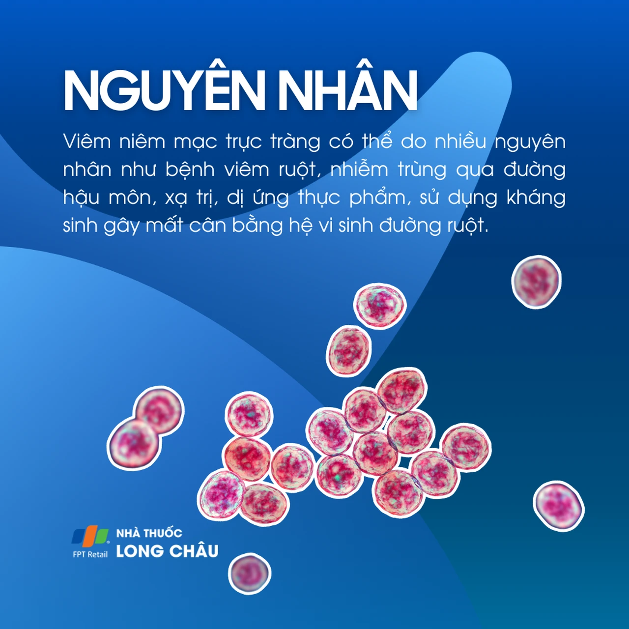 Viêm niêm mạc trực tràng 3