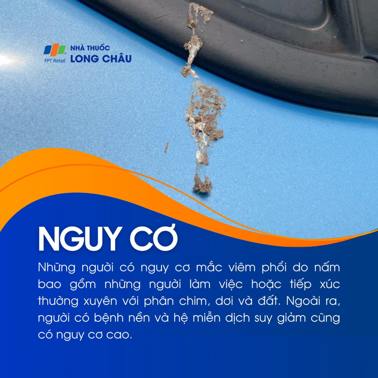 Viêm phổi do nấm 4